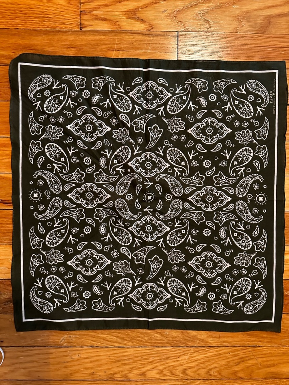 Isaia Dark Green and White Paisley Cotton Pocket Square